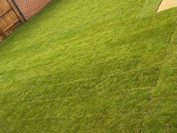 turfing