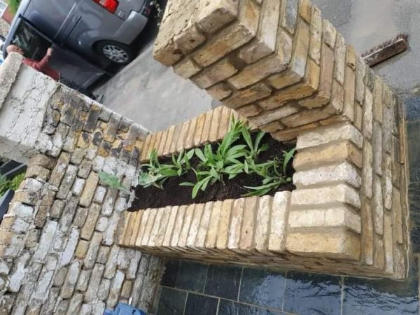 flower-beds